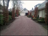 Beukenblokken in een klassieke tuin