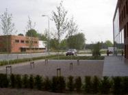 Bedrijfstuin Eindhoven