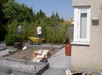 tuin in aanleg